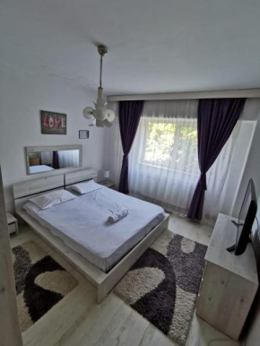 Apartament Vladimir